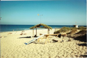 palapa